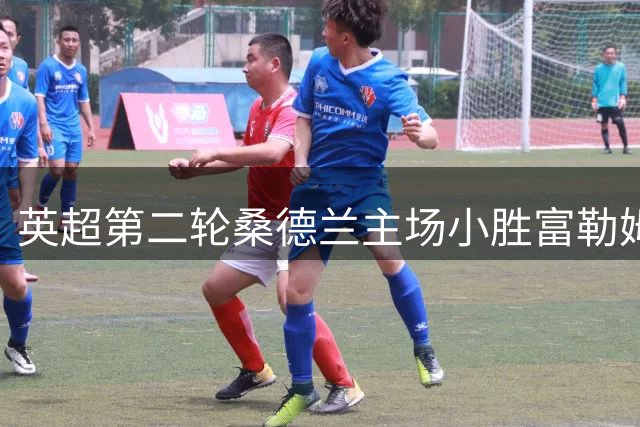 英超第二轮桑德兰主场小胜富勒姆 伊西多尔制胜球助球队迎开门红